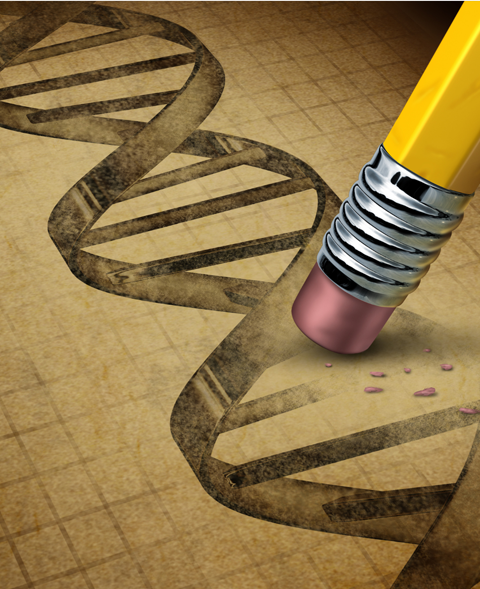 GMB | A Tragic Tale on Genetic Modification